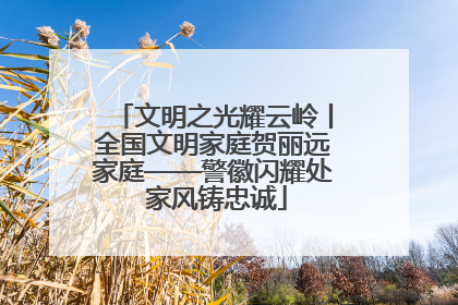 文明之光耀云岭丨全国文明家庭贺丽远家庭——警徽闪耀处 家风铸忠诚