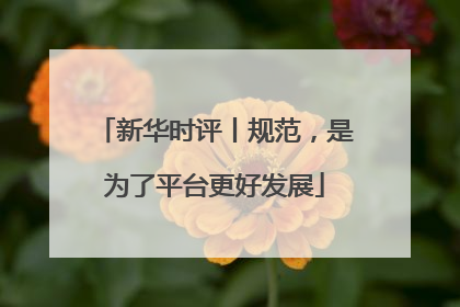 新华时评丨规范，是为了平台更好发展