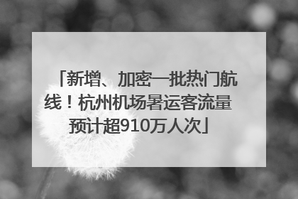 新增、加密一批热门航线！杭州机场暑运客流量预计超910万人次