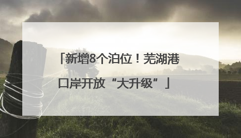 新增8个泊位！芜湖港口岸开放“大升级”