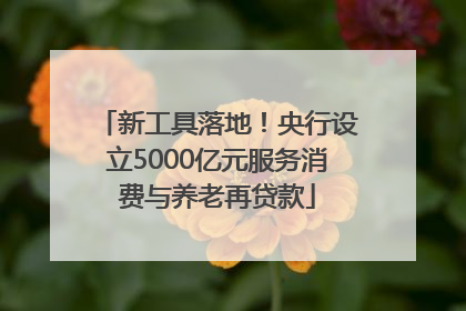 新工具落地！央行设立5000亿元服务消费与养老再贷款