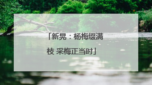 新晃：杨梅缀满枝 采梅正当时