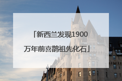 新西兰发现1900万年前喜鹊祖先化石