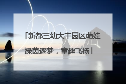 新都三幼大丰园区萌娃绿茵逐梦，童趣飞扬