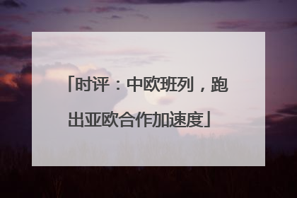 时评：中欧班列，跑出亚欧合作加速度