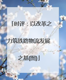 时评：以改革之力筑铁路物流发展之基(图)