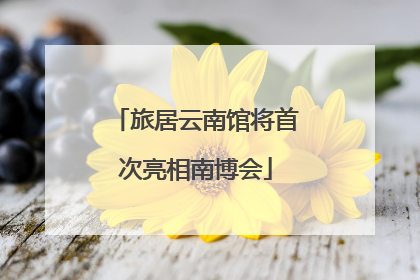 旅居云南馆将首次亮相南博会
