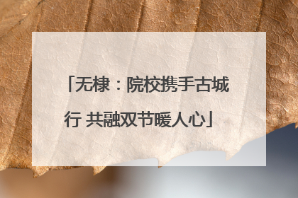 无棣：院校携手古城行 共融双节暖人心