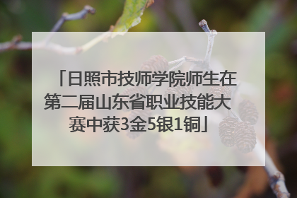 日照市技师学院师生在第二届山东省职业技能大赛中获3金5银1铜