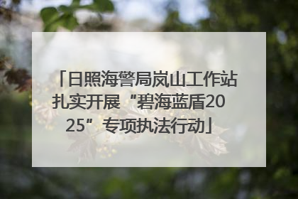 日照海警局岚山工作站扎实开展“碧海蓝盾2025”专项执法行动