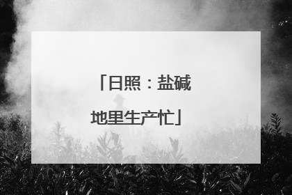 日照：盐碱地里生产忙