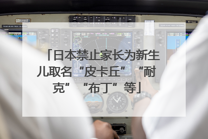 日本禁止家长为新生儿取名“皮卡丘”“耐克”“布丁”等