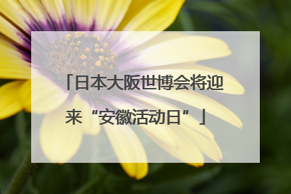 日本大阪世博会将迎来“安徽活动日”