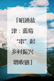 昭通盐津：蓝莓“串”起乡村振兴增收链