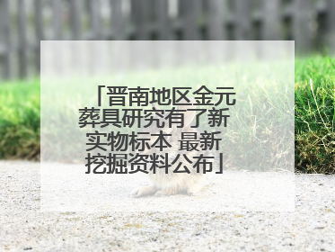 晋南地区金元葬具研究有了新实物标本 最新挖掘资料公布