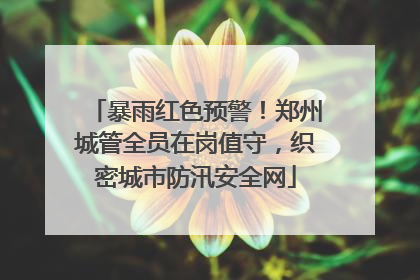 暴雨红色预警！郑州城管全员在岗值守，织密城市防汛安全网