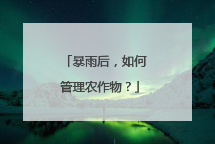 暴雨后，如何管理农作物？