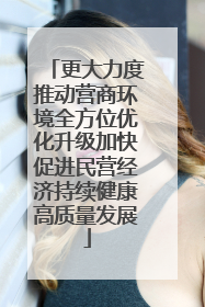更大力度推动营商环境全方位优化升级加快促进民营经济持续健康高质量发展