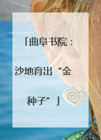 曲阜书院：沙地育出“金种子”