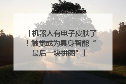 机器人有电子皮肤了！触觉或为具身智能“最后一块拼图”