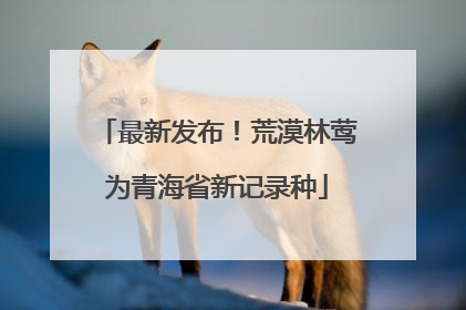 最新发布！荒漠林莺为青海省新记录种