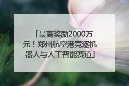 最高奖励2000万元！郑州航空港竞逐机器人与人工智能赛道