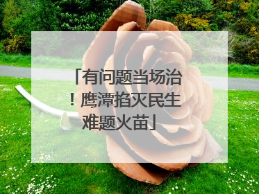 有问题当场治！鹰潭掐灭民生难题火苗