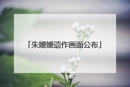 朱媛媛遗作画面公布