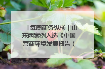 每周商务纵横｜山东两案例入选《中国营商环境发展报告（2025）》；山东外贸优品购物季进机关活动在济南举办
