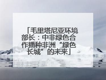 毛里塔尼亚环境部长：中非绿色合作播种非洲“绿色长城”的未来