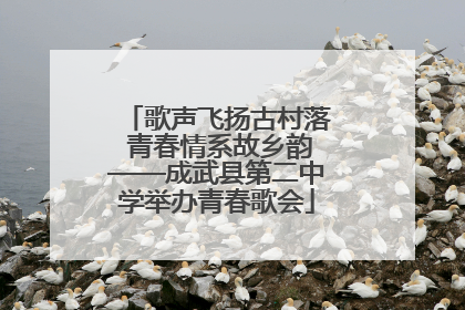 歌声飞扬古村落 青春情系故乡韵——成武县第二中学举办青春歌会