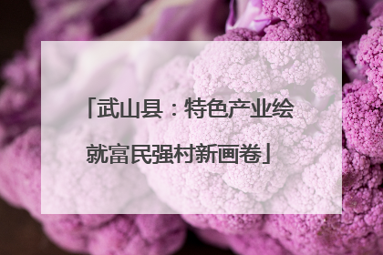 武山县：特色产业绘就富民强村新画卷