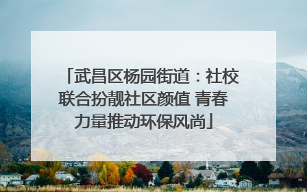 武昌区杨园街道：社校联合扮靓社区颜值 青春力量推动环保风尚