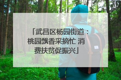 武昌区杨园街道：桃园飘香采摘忙 消费扶贫促振兴