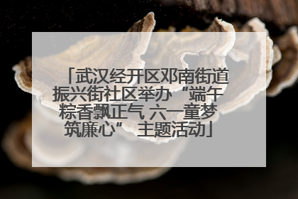 武汉经开区邓南街道振兴街社区举办“端午粽香飘正气 六一童梦筑廉心” 主题活动