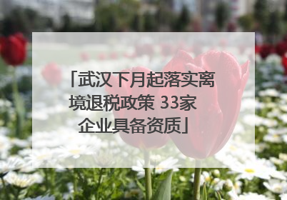 武汉下月起落实离境退税政策 33家企业具备资质