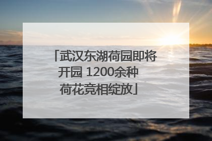 武汉东湖荷园即将开园 1200余种荷花竞相绽放