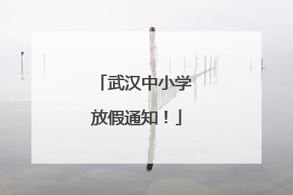 武汉中小学放假通知！