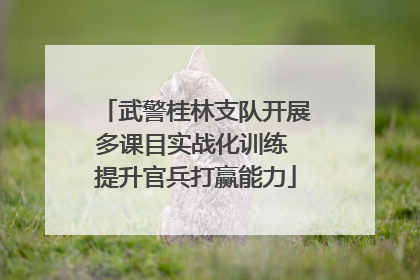 武警桂林支队开展多课目实战化训练 提升官兵打赢能力