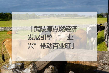武陵源点燃经济发展引擎 “一业兴”带动百业旺