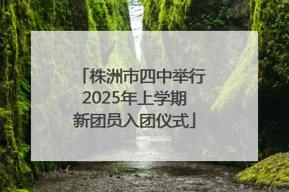 株洲市四中举行2025年上学期新团员入团仪式