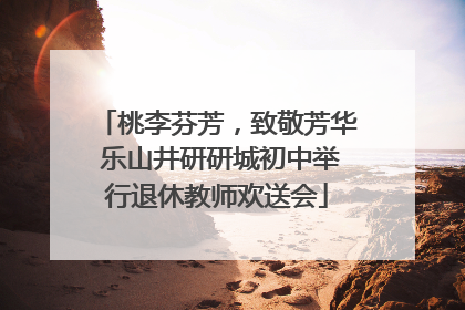 桃李芬芳，致敬芳华 乐山井研研城初中举行退休教师欢送会