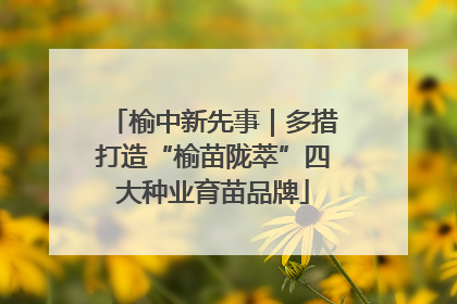 榆中新先事｜多措打造“榆苗陇萃”四大种业育苗品牌