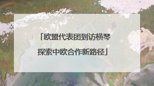 欧盟代表团到访横琴 探索中欧合作新路径