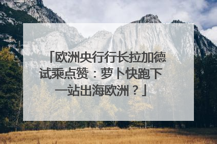 欧洲央行行长拉加德试乘点赞：萝卜快跑下一站出海欧洲？