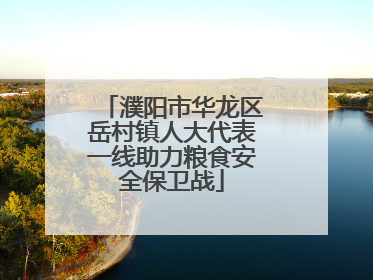 濮阳市华龙区岳村镇人大代表一线助力粮食安全保卫战