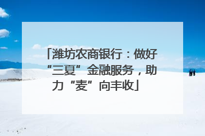 潍坊农商银行：做好“三夏”金融服务，助力“麦”向丰收