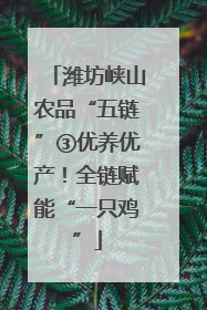 潍坊峡山农品“五链”③优养优产！全链赋能“一只鸡”