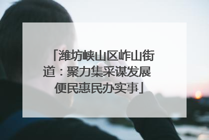 潍坊峡山区岞山街道：聚力集采谋发展 便民惠民办实事