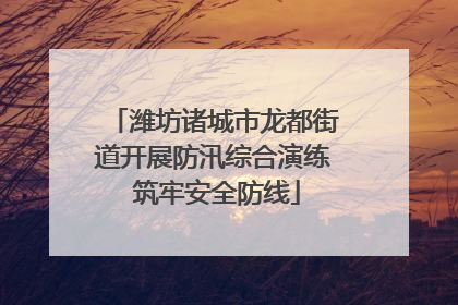 潍坊诸城市龙都街道开展防汛综合演练 筑牢安全防线